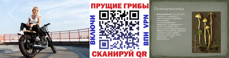 Галлюциногенные грибы GOLDEN TEACHER Карабаново